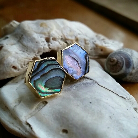 Natural Abalone Shell Earrings - Picture 4 of 8